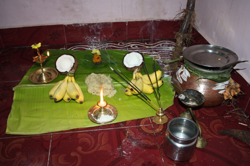 Special Article on evolution of Banana Tree, Bharadwaja Maharishi speech to Seetarama, Hanuman Importance, Importance of Banana in HIndu Devotional Pooja